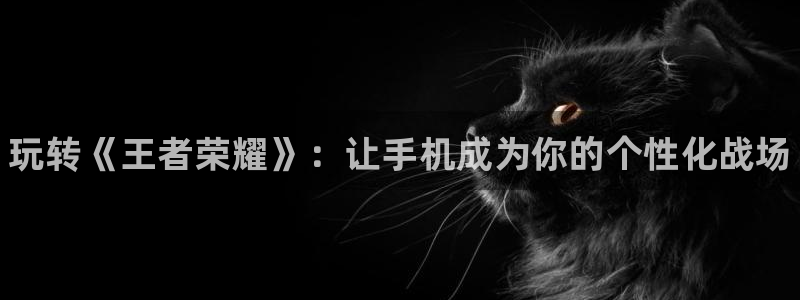 优贝娱乐登录网址：玩转《王者荣耀》：让手机成为你的个性化战场