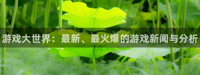 优贝娱乐4招商：游戏大世界：最新、最火爆的游戏新闻与分析