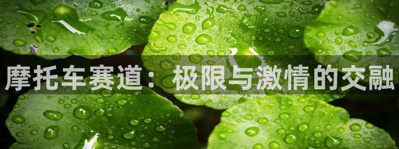 优贝娱乐官方平台：摩托车赛道：极限与激情的交融