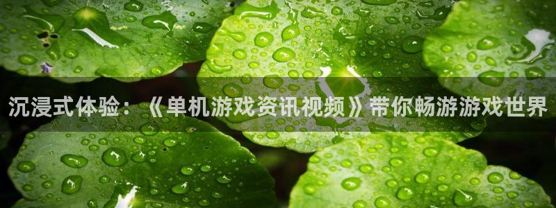 优贝娱乐怎么注册：沉浸式体验：《单机游戏资讯视频》带你畅游游