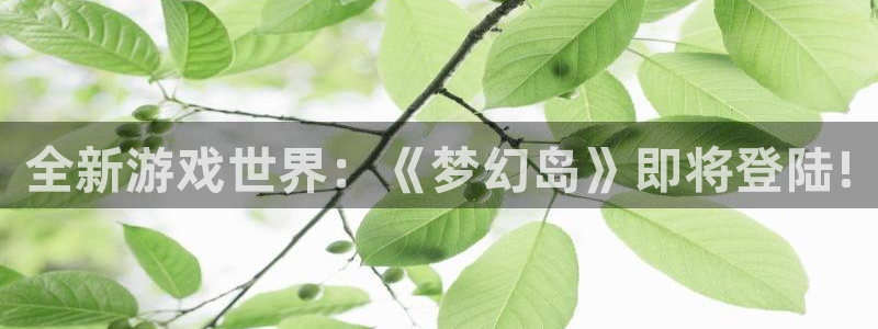 优贝娱乐平台：全新游戏世界：《梦幻岛》即将登陆!
