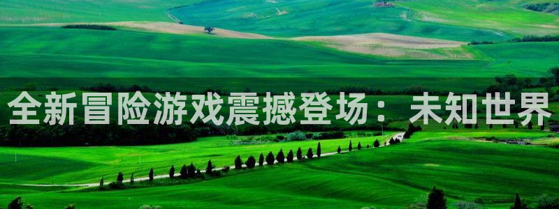 优贝娱乐集团：全新冒险游戏震撼登场：未知世界