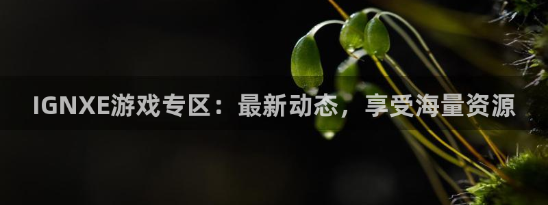 优贝娱乐开户测速：IGNXE游戏专区：最新动态，享受海量资源