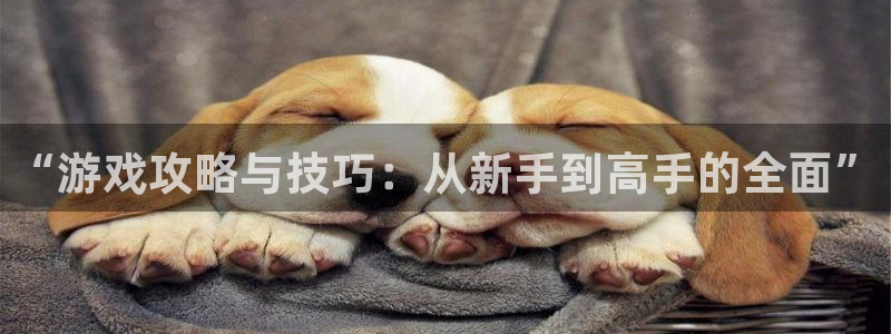 优贝娱乐平台官方网站：“游戏攻略与技巧：从新手到高手的全面”