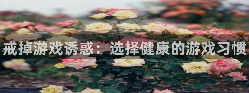 优贝娱乐集团：戒掉游戏诱惑：选择健康的游戏习惯