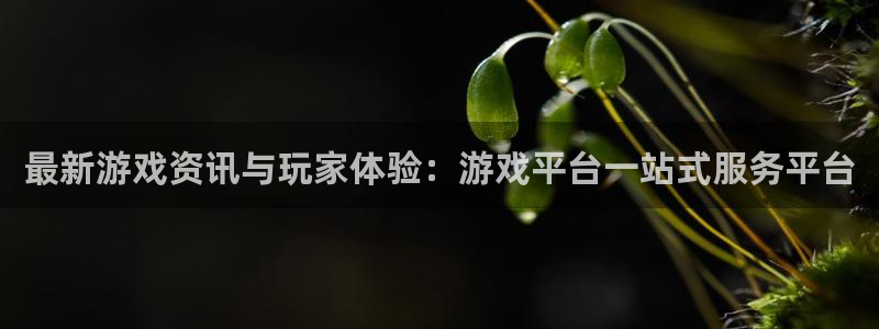 优贝娱乐官网：最新游戏资讯与玩家体验：游戏平台一站式服务平台