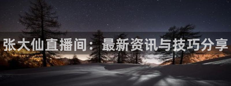178足球直播在线观看：张大仙直播间：最新资讯与技巧分享