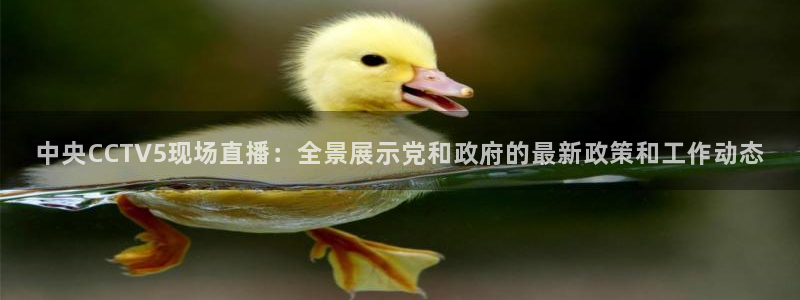 178足球直播在线：中央CCTV5现场直播：全景展示党和政府的最新政策和工作动态