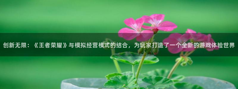 优贝娱乐平台登录入口：创新无限：《王者荣耀》与模拟经营模式的
