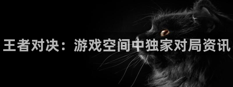 优贝娱乐什么意思：王者对决：游戏空间中独家对局资讯