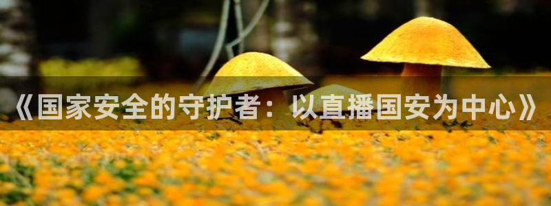 178直播体育篮球：《国家安全的守护者：以直播国安为中心》