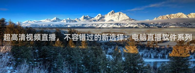 178篮球直播在线直播：超高清视频直播，不容错过的新选择：电脑直播软件系列